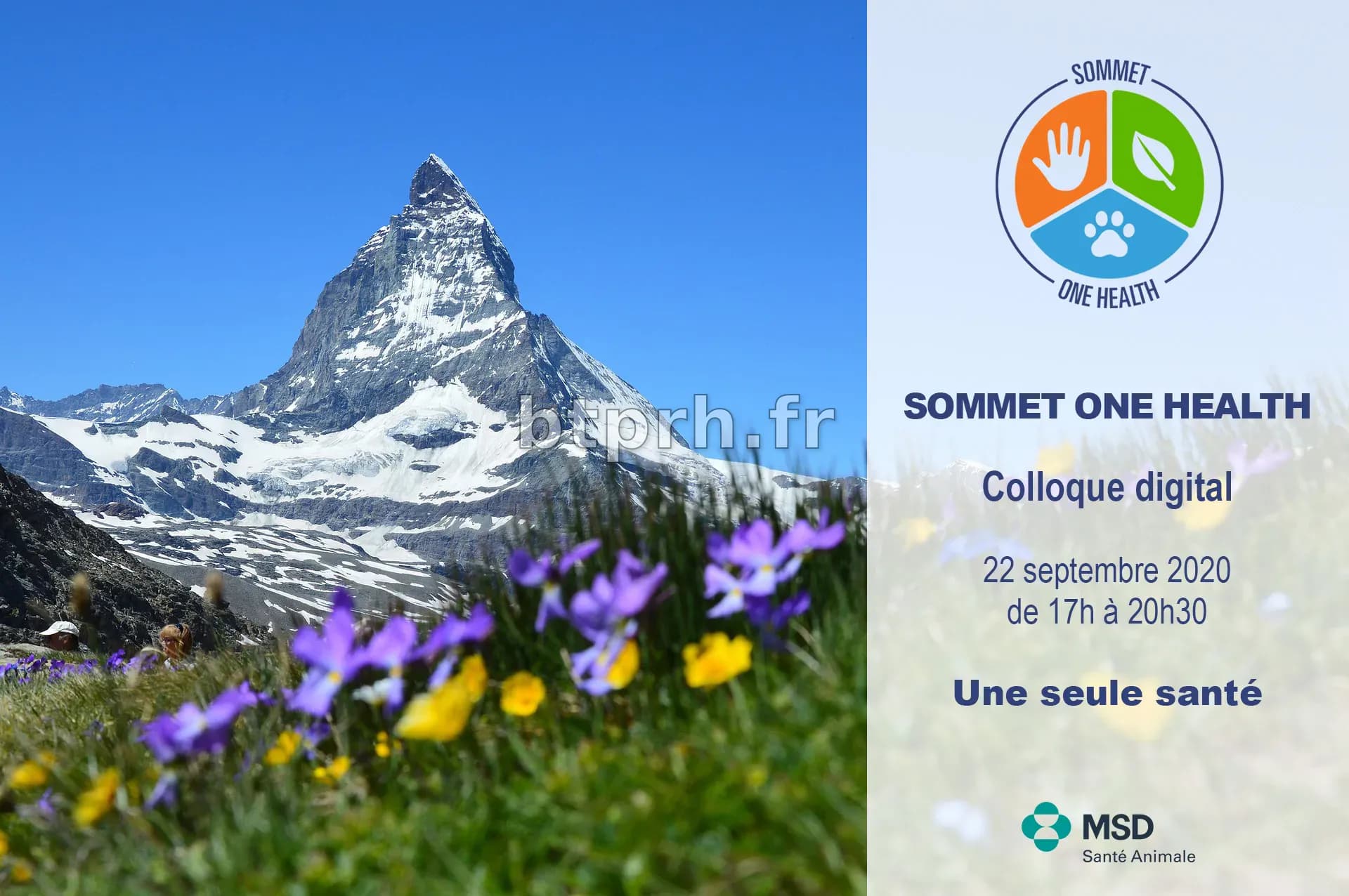 Lyon s'apprête à accueillir un sommet international One Health le 7 avril, en présence d'Emmanuel Macron