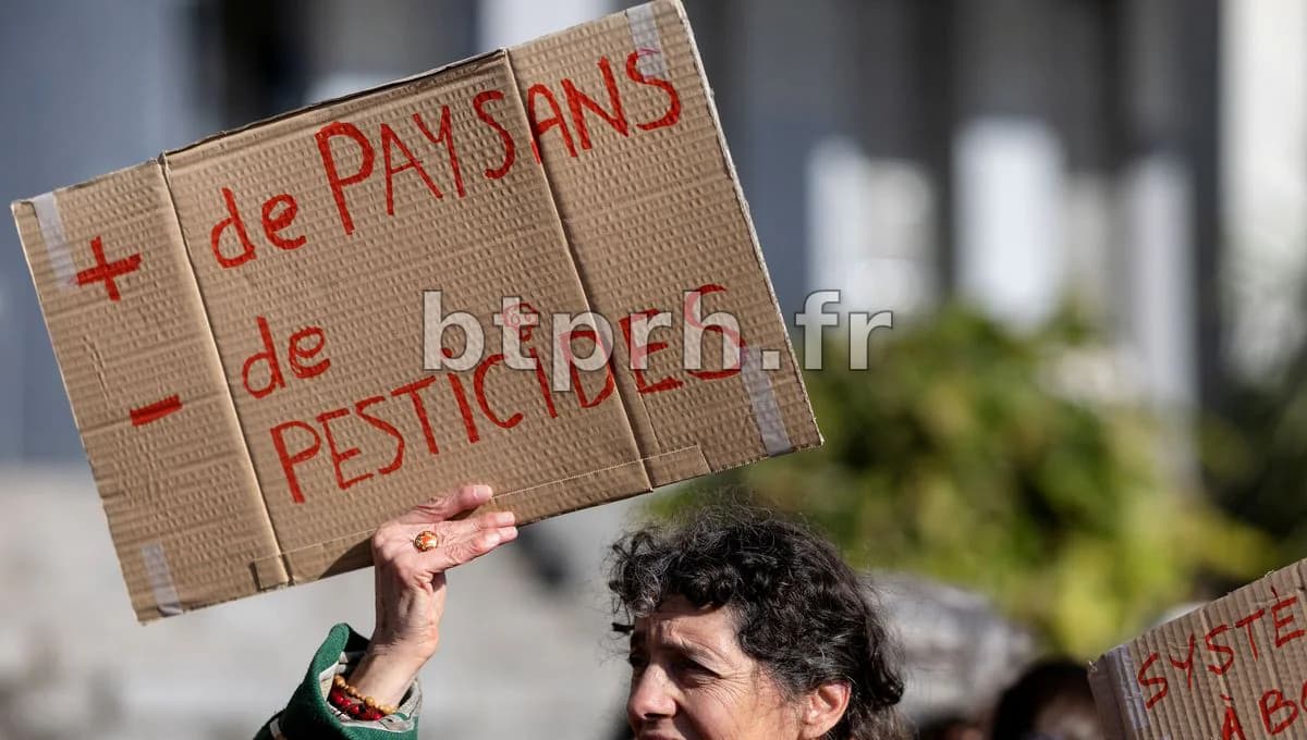 Pesticides : pourquoi les politiques n'écoutent pas la science ...