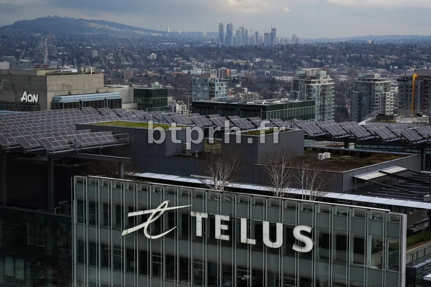 Telus says it is investigating hack of its systems - Canada News Hub