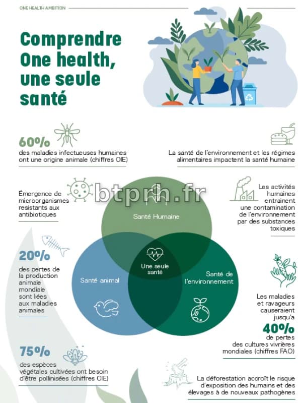 Le concept « One Heath » - Une seule santé-environnement | Plan ...