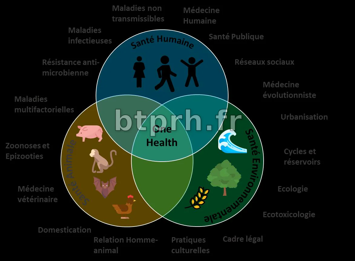 One Health - Une seule santé, évaluation d'une approche intégrée en ...