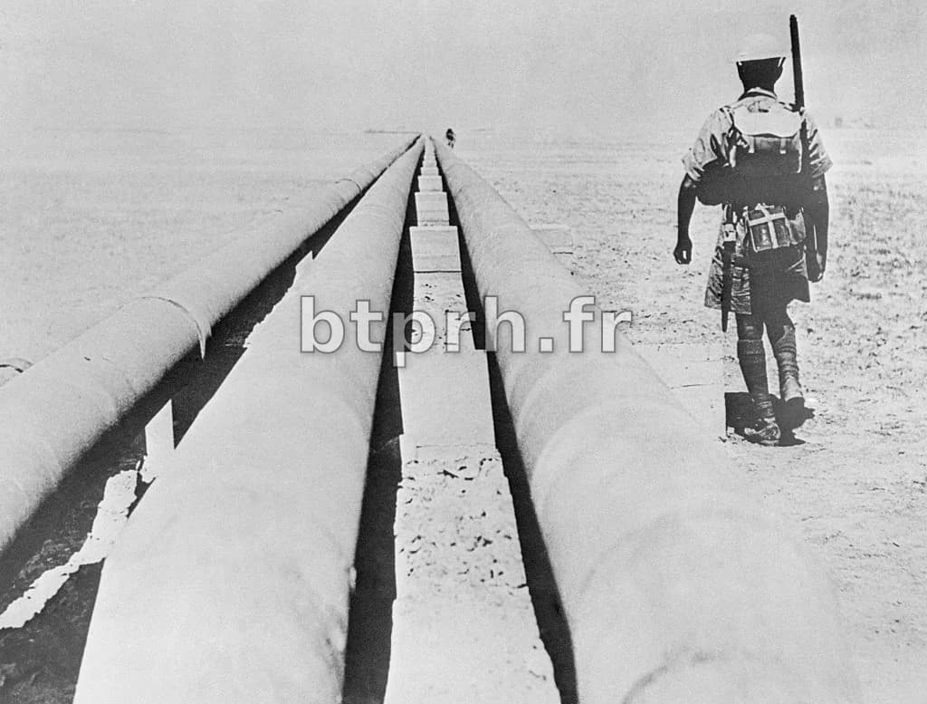 Agnotologie : Quand l'ignorance est un produit fabriqué