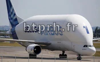 L'impact des fervents partisans du zéro émission sur les ambitions aéronautiques de la Génération Z