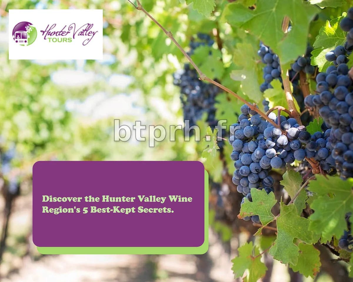 Découvrez le Secret le Mieux Gardé du Canada : Une Vallée Viticole Alliant Loisirs Annuel et Charme du Nord-Ouest Pacifique