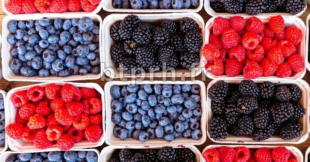 Brain aging slowed by over 2 years with unique diet | Health | wcov.com