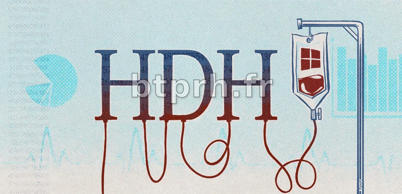 Health Data Hub : en attendant la migration, Microsoft et Capgemini ont ...