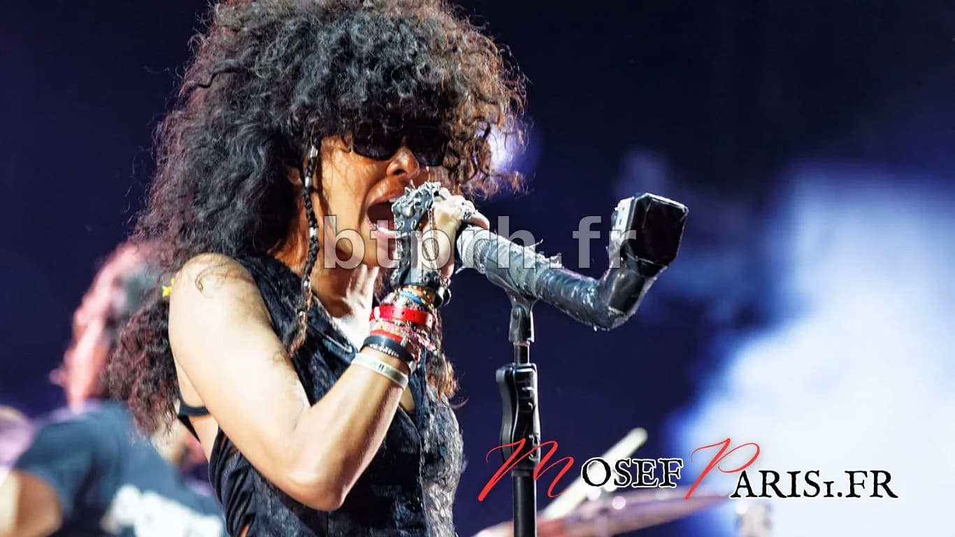 Samaha Sam Âge : Découvrez Tout sur la Chanteuse de Shaka Ponk - Mosef ...