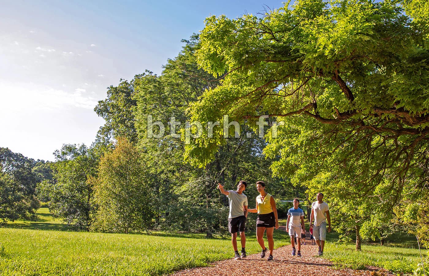 Summer at The Morton Arboretum | Events and Activities | Morton