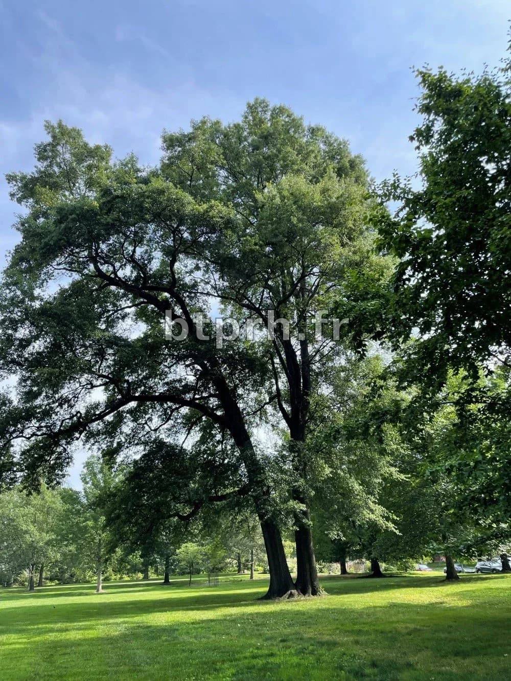 Blog — Bexley Arboretum